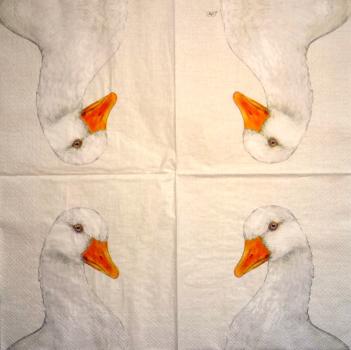 139 Ducks - 3-ply